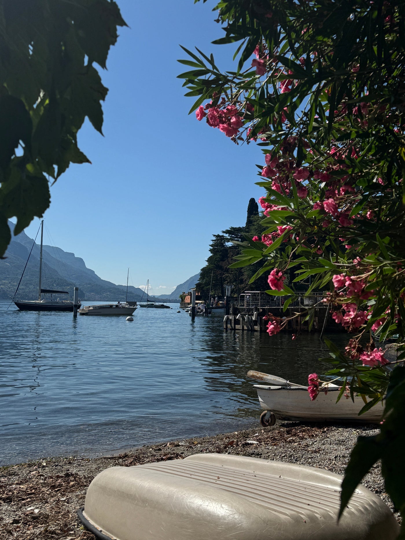MIIO BLOG: COMO 2025