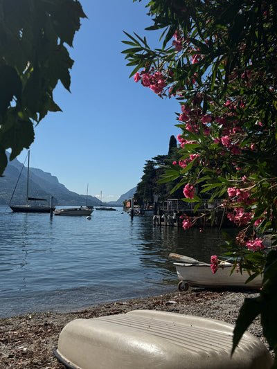 MIIO BLOG: COMO 2025