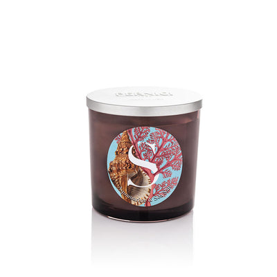 Elementi Collection Scented Candle 350g