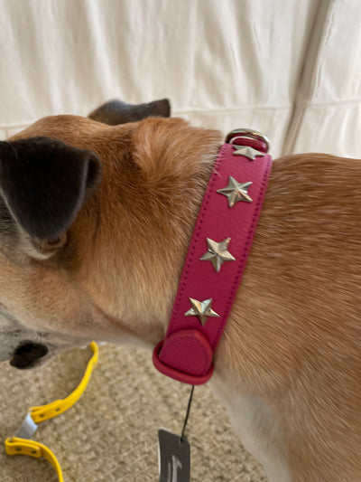 Leather Dog Collar 3 cm